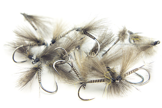 Pêcher qu'en sèche ? Bwo-na10