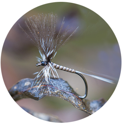 Pêcher qu'en sèche ? Flies10