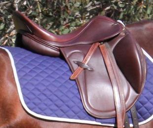 STOLEN - Ascot Vita Mono Dressage Saddle 14044110