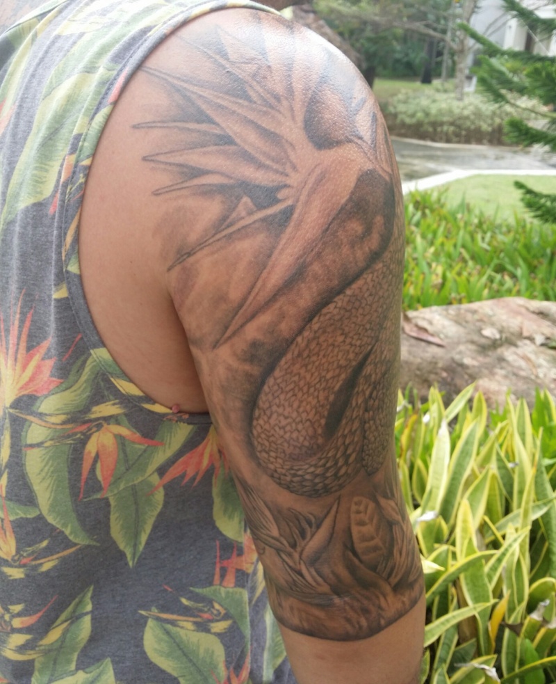 Snake Tattoo - Atheris Squamigera 2014-010