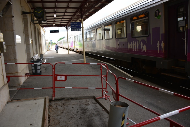 Gare de Luçon (85) Dsc_0220