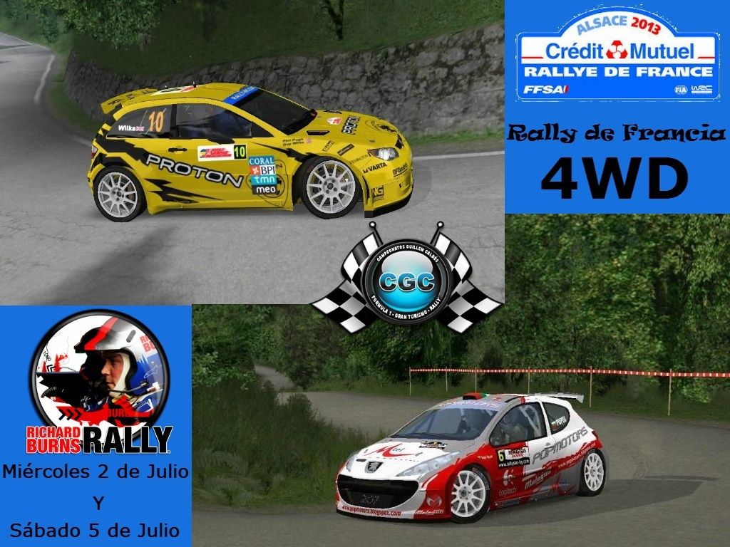 Tramos Rally de Francia  02/07/2014 y 05/07/2014 Foto_c18