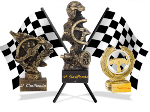 Los Campeones de Rallys -RBR- tendrán su merecido Trofeo Trofeo13