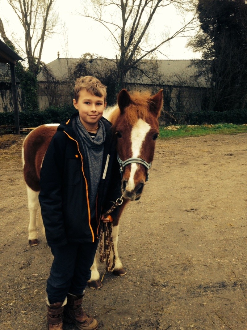 HARRY - OI Poney né en 1996 - adopté en décembre 2014 par Frédérique (et Harrison) Img_5410