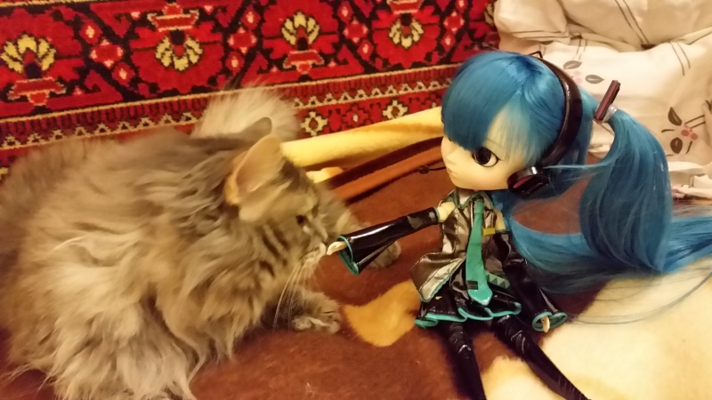 Кукла Pullip           20140913