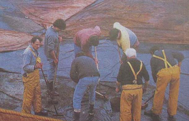 gozzo - Piano di costruzione e passo passo costruzione gozzo - Pagina 4 Navi_b11