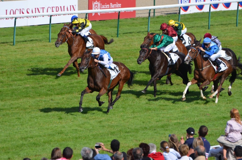 Le compteur de victoires : 15 août, Deauville, Bawina, 2593 Bawina12