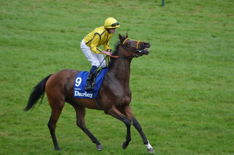 Olivier demain à Newmarket avec Rizeena Dsc_0234