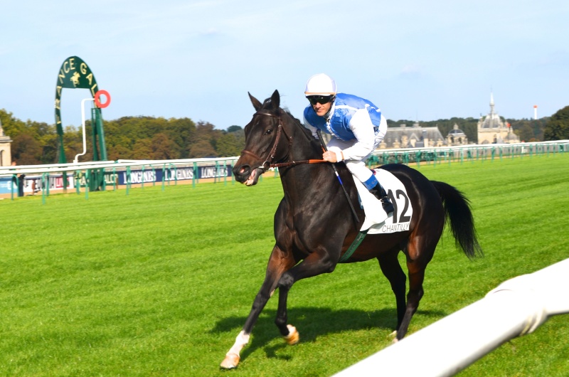 Dancequest, 1er octobre, Chantilly  Dsc_0331