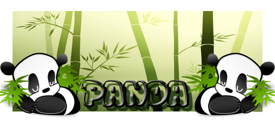 Présentation d'un Panda :D Panda11