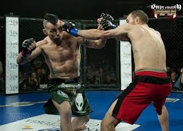 MMA : Mixed martial arts Images79