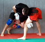 MMA : Mixed martial arts Images82