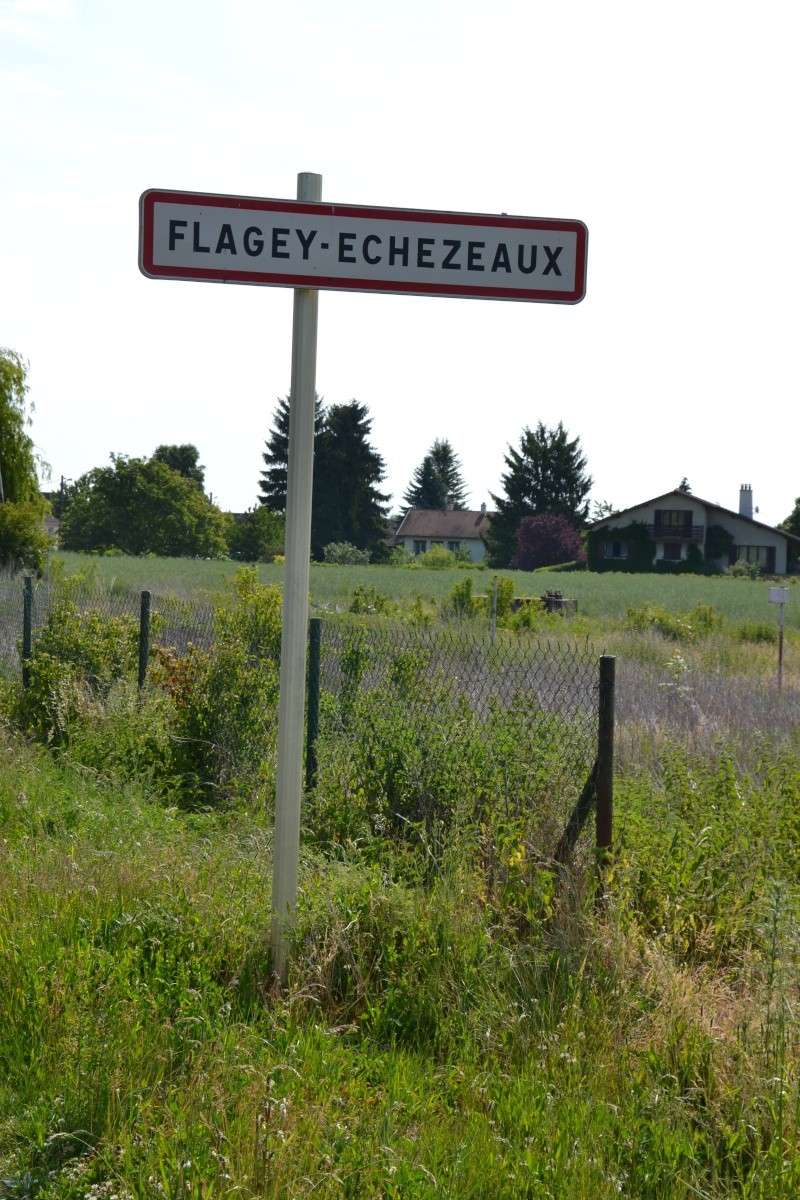 Flagey Echezeaux :   cuvée 2014 - Page 23 Dsc_0421