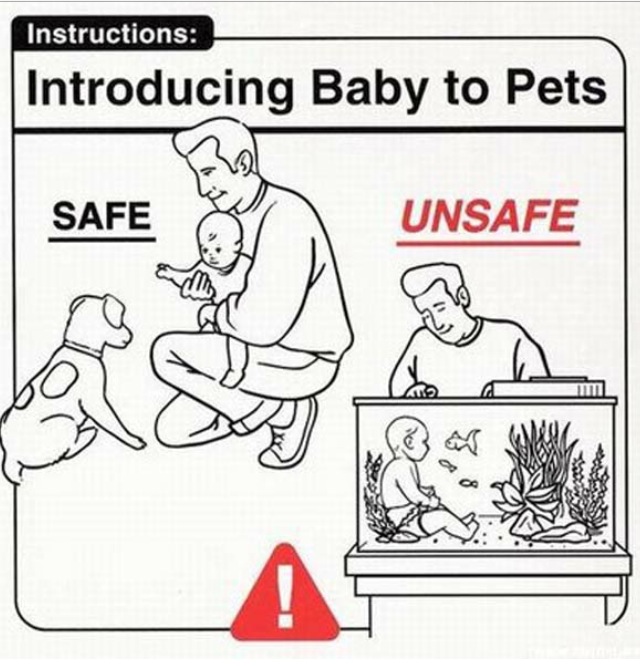 Aquarium Safety Photo10