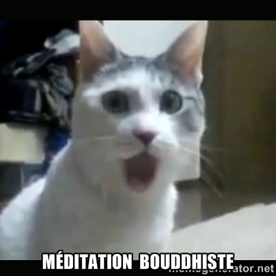 De la pub pour la "méditation bouddhiste" sur le site conciliaire "la croix" 57515910