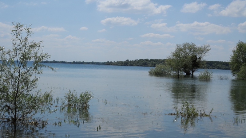 le lac de la fôret d'orient Sam_1015