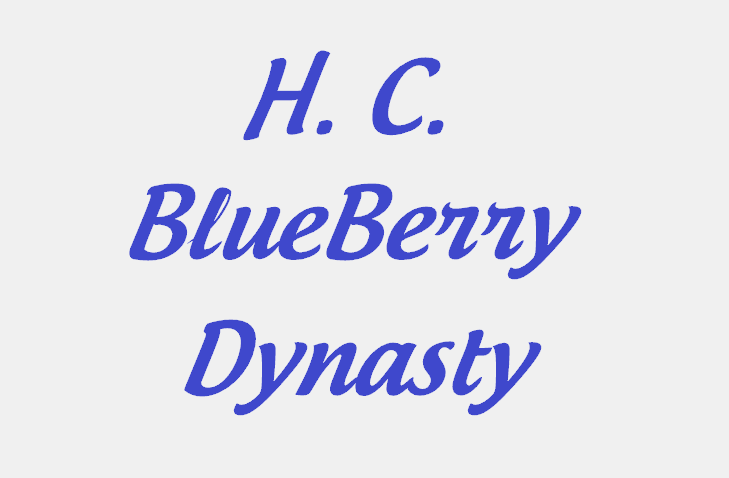 H.C. Blueberry Dynasty Hcbb10