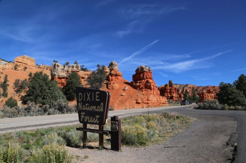 VOYAGE - route 66 et l ouest en mustang Brice10