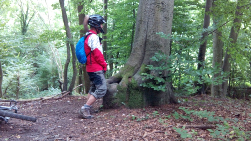 Jeudi 21 ou Vend. 22 Août 2014: Qui veut rouler le matin dans la forêt de La Londe ??? - Page 2 Img_2011