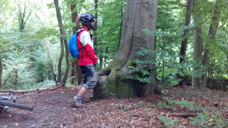 Jeudi 21  ou Vend. 22 Août 2014: Qui veut rouler le matin dans la forêt de La Londe ??? - Page 2 Img_2011