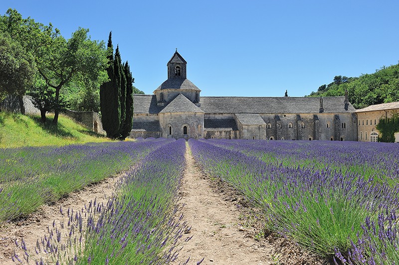 Des rassemblements à venir?? Lavand16