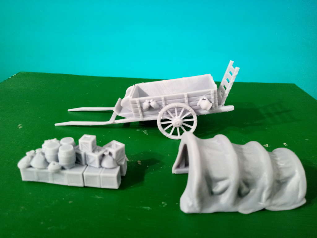 Chariots 3D résine Img_2423
