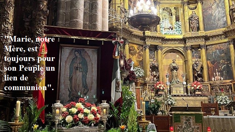 Le Pape salue le jumelage des sanctuaires de Guadalupe en Espagne et au Mexique 2023_079