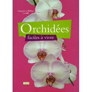 Orchidées faciles à vivre Orchid10