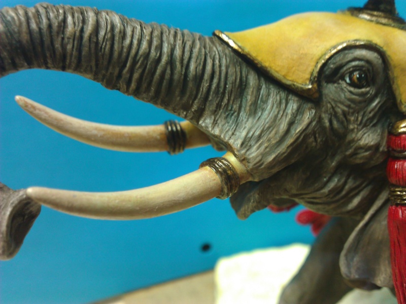Elephant de Guerre carthaginois. Wp_00313
