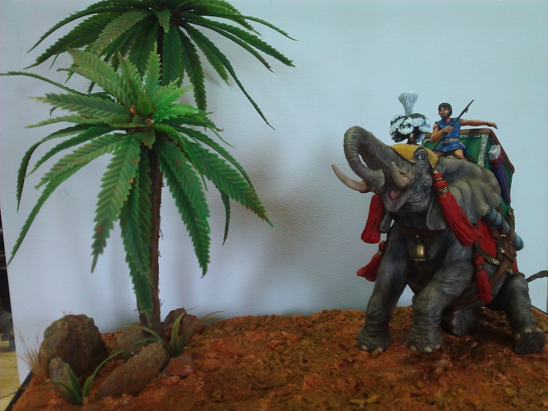 Elephant de Guerre carthaginois. - Page 2 Wp_00510