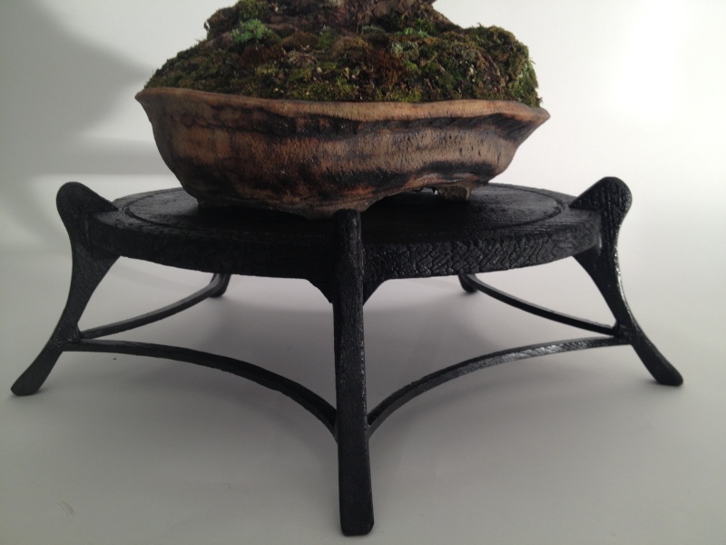 Burnt Bonsai table Img_4311