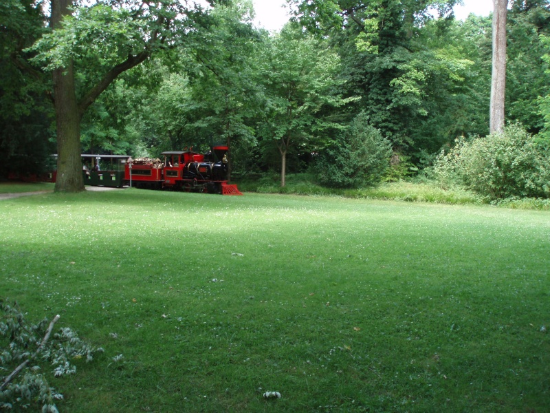 Petit train du Parc de la Tête d'Or à Lyon P6290010