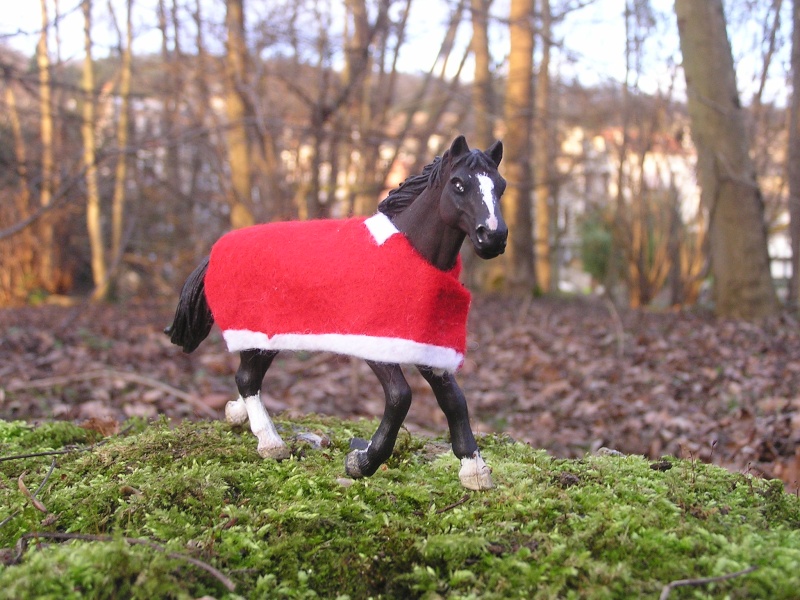 Ma "petite" collec de schleich P1010028