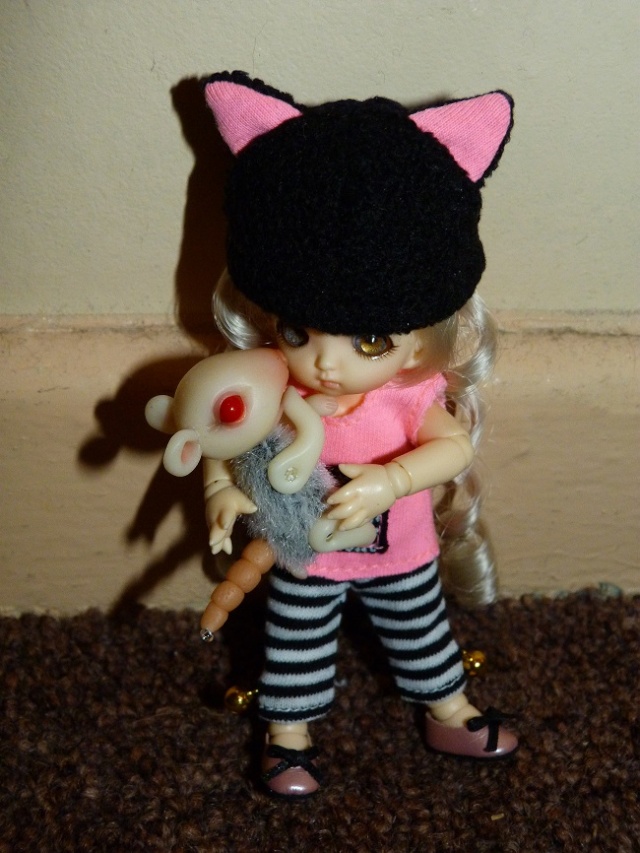 Gaspard, un petit ratton tout mignon!!! Photo206