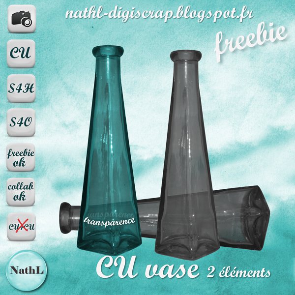 CU transparent vase updated Nathl-12