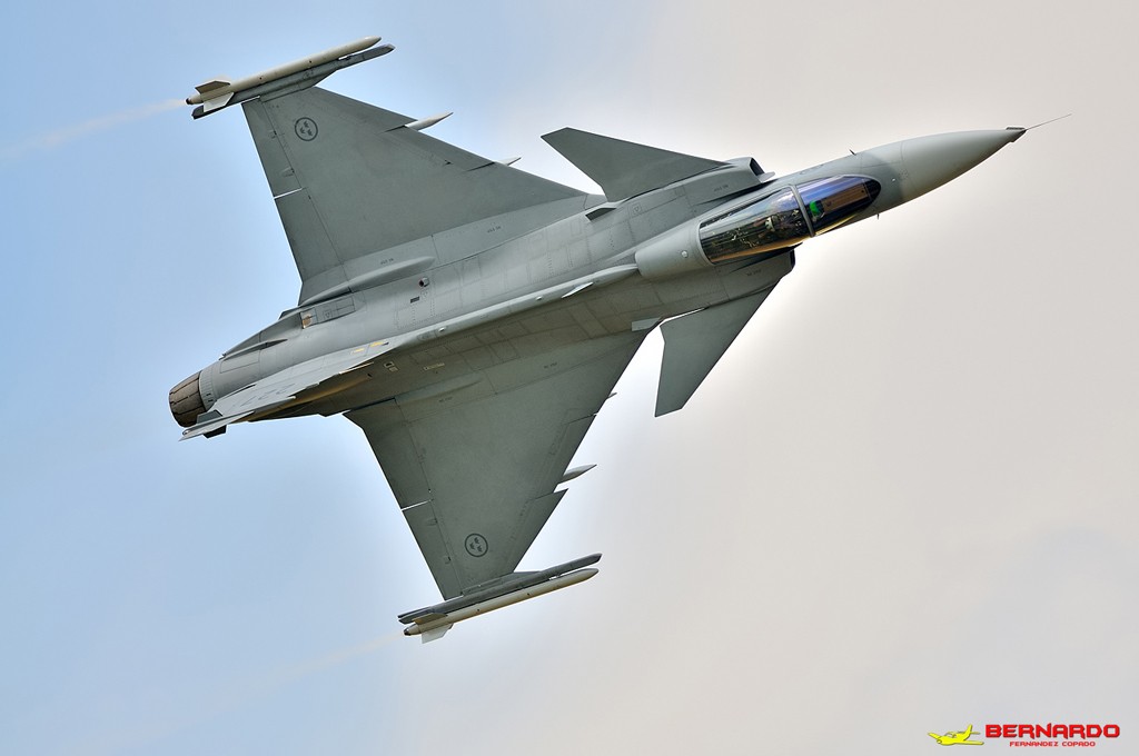 RIAT 2014  - Page 2 D3s_2712