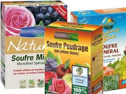 La Fleur de Soufre: Tout en1 Naturel & Efficace Tylych11