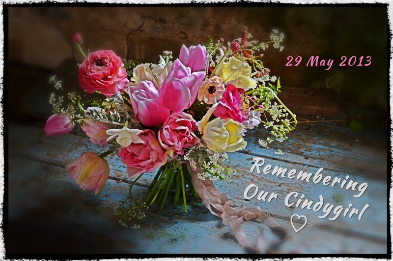 Remembering Our Cindygirl.......One Year On Img_3411
