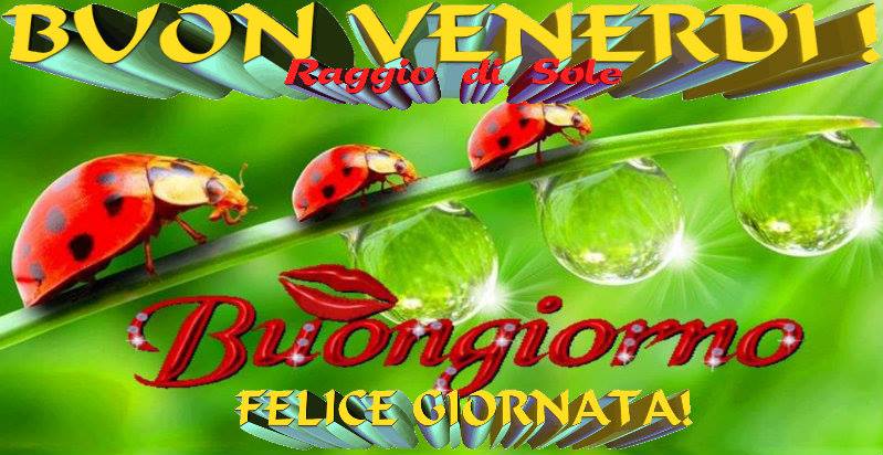 VENERDI 12 SETTEMBRE SALUTIAMOCI IN QUESTA SEZIONE 340_1036