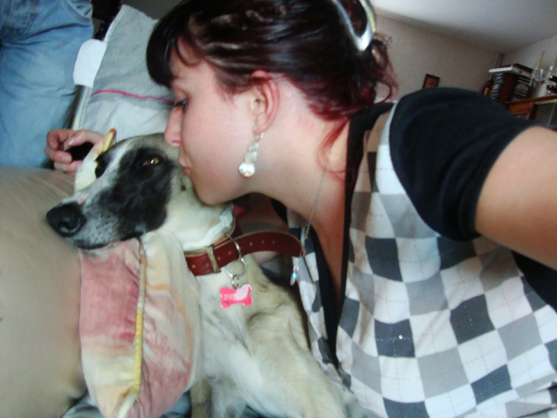Perla , (squelettique) magnifique galga Scooby France ADOPTEE - Page 7 Dsc05241
