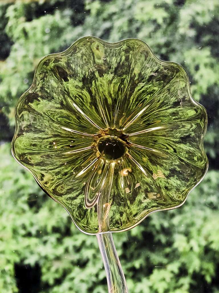 Fleur de verre Img_5811
