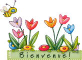 Présentation Bienve11