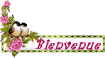 Présentation Bienve18