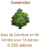 Genévrier => Baie de Genièvre Sans1021