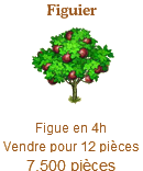 Le Figuier Sans_353