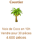 Cocotier => Noix de Coco Sans_867