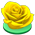 Rose jaune Yellow14