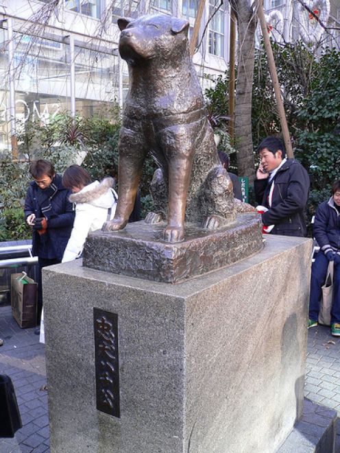 L'histoire de Hachiko, le chien fidèle. Statue10