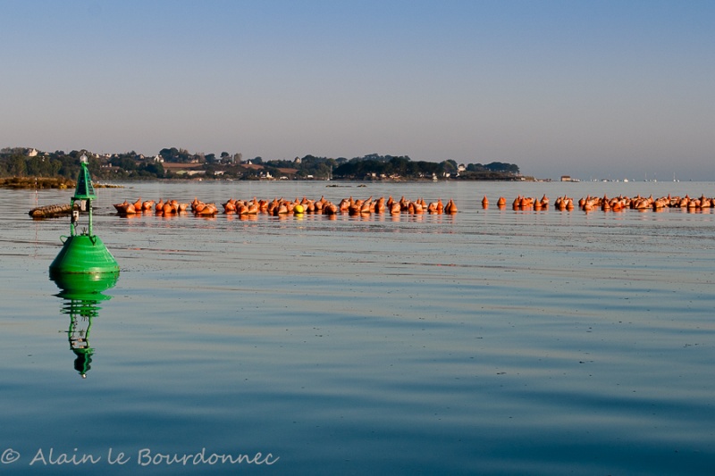 J'ai vu des choses étranges...... _dsc0010