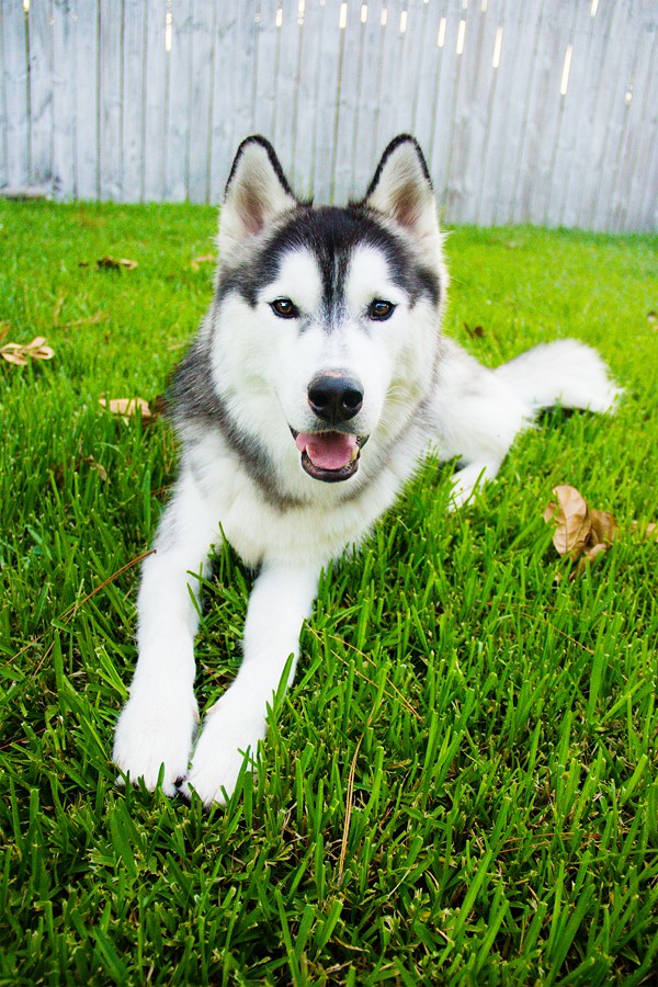 Little Bear Mishka~♥ (Updated 10/14/18) - Page 11 Img_4814